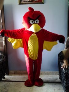 Angry Birds, Cock, Micky Mouse, Lala Lali [Fancy Dress]