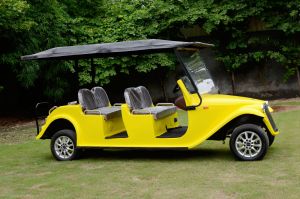 Royal Golf Kart