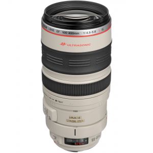 Canon 100-400mm Camera Lens