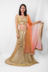 Sequenced Ombre Lehenga Set