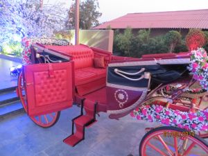 Wedding Buggy