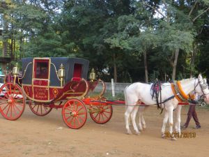 Wedding Buggy